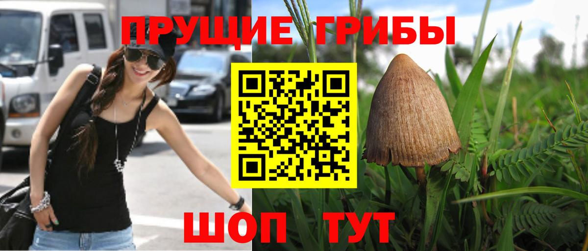 Старая Купавна  Псилоцибиновые грибы Cubensis  Вход с VPN 